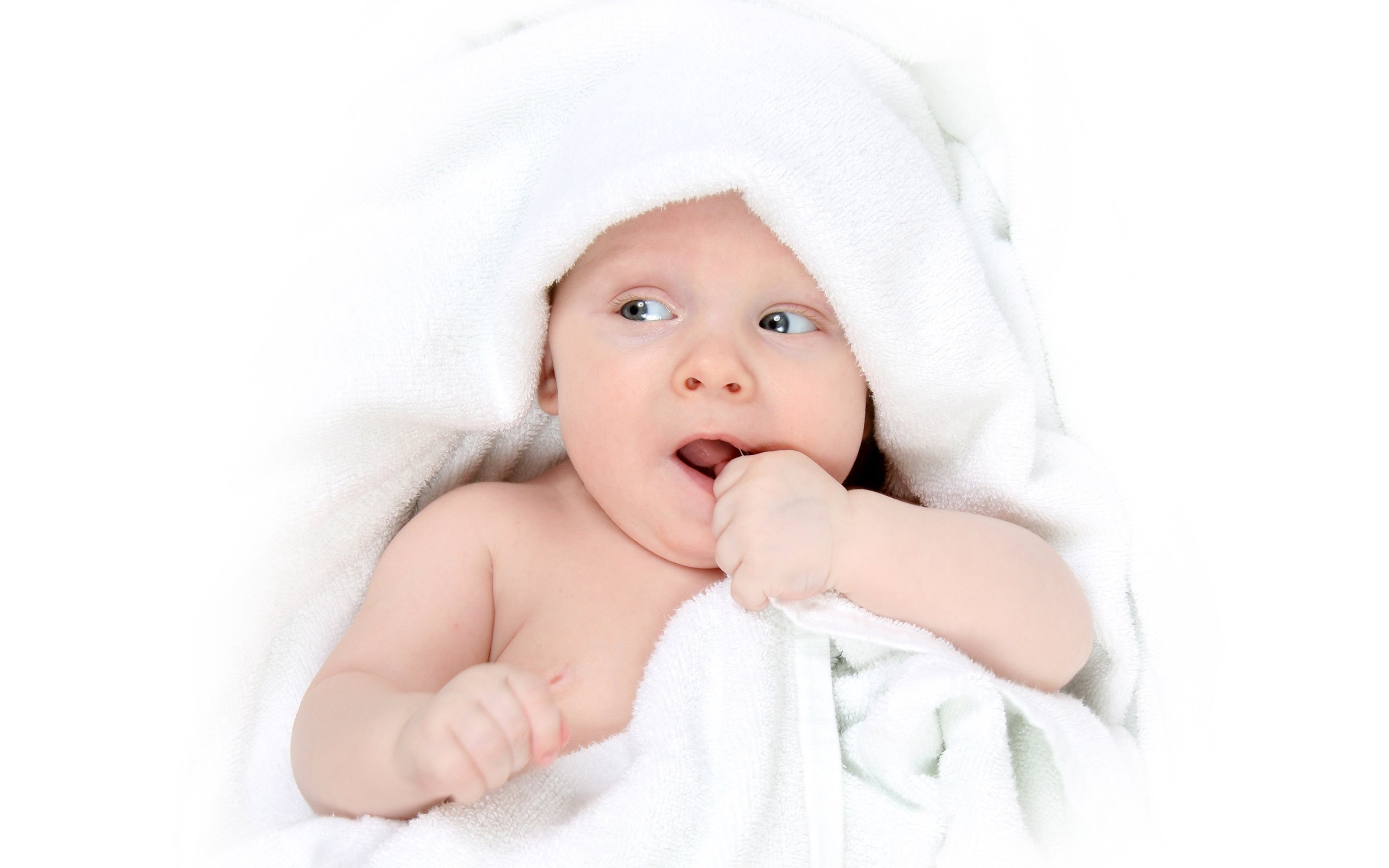 邯郸捐卵机构中心试管婴儿多少人能成功